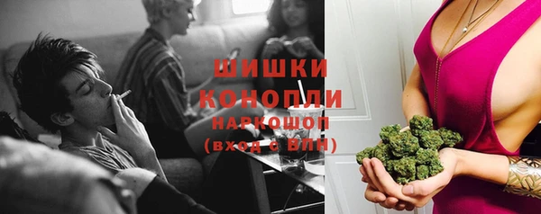 Альфа ПВП Магадан