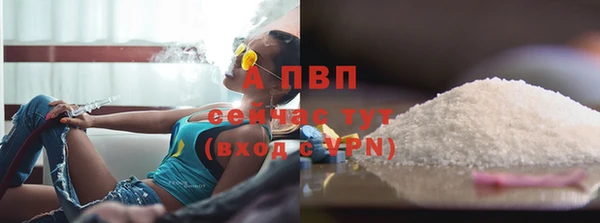 Альфа ПВП Магадан