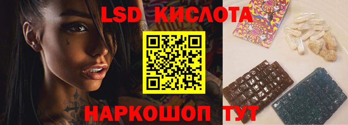 Псилоцибиновые грибы Камышлов