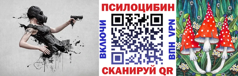 Псилоцибиновые грибы прущие грибы  где можно купить наркотик  Камышлов 