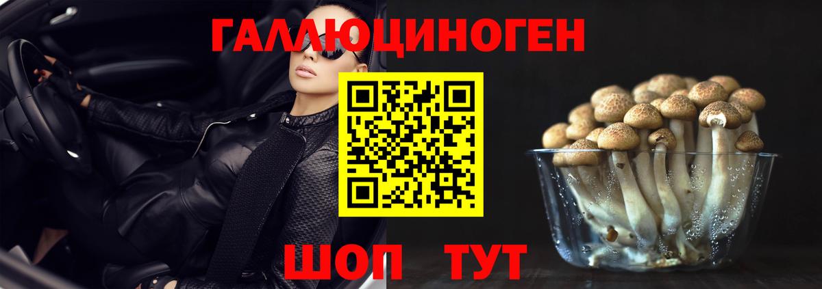 Псилоцибиновые грибы GOLDEN TEACHER Камышлов