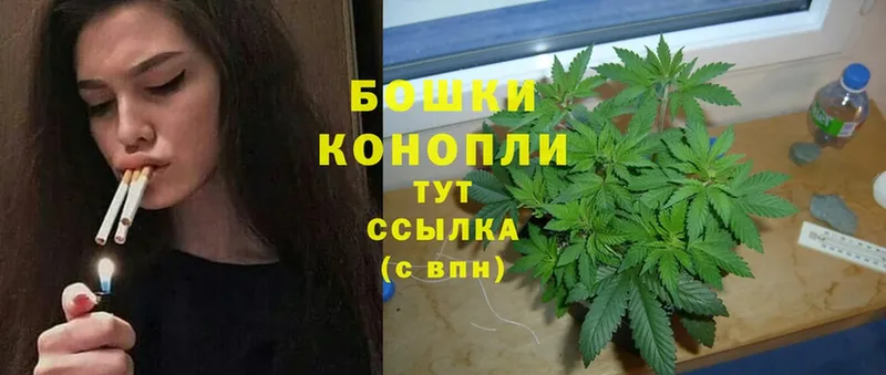 продажа наркотиков  Камышлов  ОМГ ОМГ ТОР  Конопля SATIVA & INDICA 